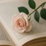 ヒメ日記 2025/08/23 01:30 投稿 黒木りおな セカンドパートナー