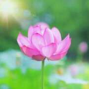 ヒメ日記 2025/08/29 12:29 投稿 黒木りおな セカンドパートナー