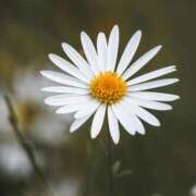 ヒメ日記 2025/09/02 09:10 投稿 黒木りおな セカンドパートナー