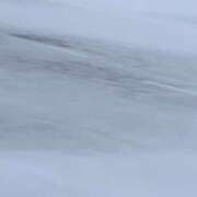 ヒメ日記 2026/01/09 23:28 投稿 土屋綾香 五十路マダム愛されたい熟女たち岡山店（カサブランカグループ）