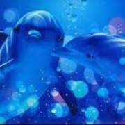 ヒメ日記 2026/03/02 12:48 投稿 土屋綾香 五十路マダム愛されたい熟女たち岡山店（カサブランカグループ）