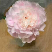 ヒメ日記 2025/06/30 15:15 投稿 きょうか 奥様 仙台人妻セレブリティー