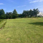 ヒメ日記 2025/07/06 17:21 投稿 きょうか 奥様 仙台人妻セレブリティー