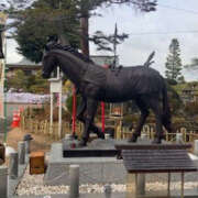 ヒメ日記 2026/01/08 15:46 投稿 きょうか 奥様 仙台人妻セレブリティー