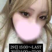 ヒメ日記 2025/12/28 11:37 投稿 めめ スピードエコ京橋店