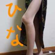 ヒメ日記 2026/01/31 06:32 投稿 紬　ひな 五十路マダム 徳島店