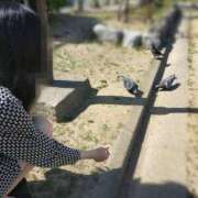 ヒメ日記 2026/03/29 08:08 投稿 紬　ひな 五十路マダム 徳島店