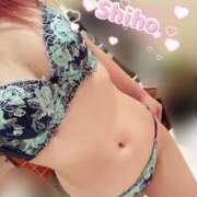 ヒメ日記 2025/07/22 09:08 投稿 村井　しほ 未熟な人妻