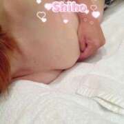 ヒメ日記 2025/09/04 12:08 投稿 村井　しほ 未熟な人妻