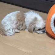 ヒメ日記 2025/08/03 00:35 投稿 ふみか 熟女総本店 堺東店