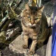 ヒメ日記 2025/08/21 11:25 投稿 ふみか 熟女総本店 堺東店