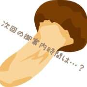 ヒメ日記 2025/08/29 16:59 投稿 ふみか 熟女総本店 堺東店