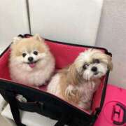 ヒメ日記 2025/09/17 09:41 投稿 ふみか 熟女総本店 堺東店