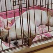 ヒメ日記 2025/12/06 00:52 投稿 ふみか 熟女総本店 堺東店