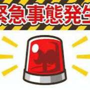 ヒメ日記 2026/01/19 08:52 投稿 ふみか 熟女総本店 堺東店