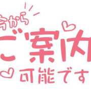 ヒメ日記 2026/01/20 12:47 投稿 ふみか 熟女総本店 堺東店