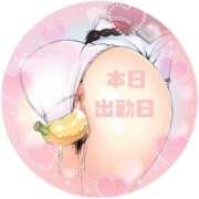 ヒメ日記 2026/02/26 08:21 投稿 ふみか 熟女総本店 堺東店