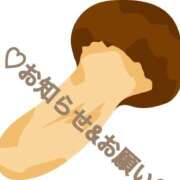 ヒメ日記 2026/02/27 16:26 投稿 ふみか 熟女総本店 堺東店