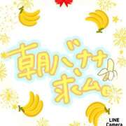 ヒメ日記 2026/03/20 08:07 投稿 ふみか 熟女総本店 堺東店