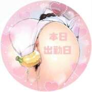 ヒメ日記 2026/03/28 08:12 投稿 ふみか 熟女総本店 堺東店