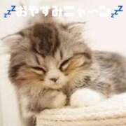 ヒメ日記 2026/04/02 02:28 投稿 ふみか 熟女総本店 堺東店