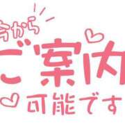 ヒメ日記 2026/04/12 12:07 投稿 ふみか 熟女総本店 堺東店