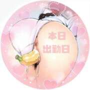 ヒメ日記 2026/04/15 08:15 投稿 ふみか 熟女総本店 堺東店