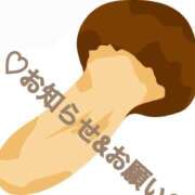 ヒメ日記 2026/04/19 15:16 投稿 ふみか 熟女総本店 堺東店