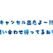 ヒメ日記 2026/05/18 14:30 投稿 ふみか 熟女総本店 堺東店