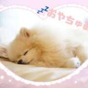 ヒメ日記 2026/06/04 01:38 投稿 ふみか 熟女総本店 堺東店