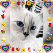 ヒメ日記 2025/08/06 11:10 投稿 関内光子 五十路マダム　広島店