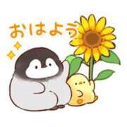 関内光子 おはようございます、関内光子 です〜 五十路マダム　広島店