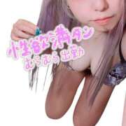 ヒメ日記 2025/07/02 17:19 投稿 彰えり 一夜妻