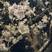 ヒメ日記 2026/02/11 12:36 投稿 なつえ 奥様はエンジェル　町田店