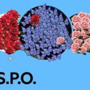 ヒメ日記 2025/08/18 09:36 投稿 えりい 熟女の風俗最終章 本厚木店