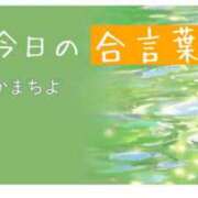 ヒメ日記 2025/08/26 09:26 投稿 えりい 熟女の風俗最終章 本厚木店