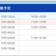 ヒメ日記 2025/10/12 10:58 投稿 ゆうか 上野ハンドメイド