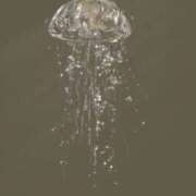 ヒメ日記 2025/11/21 20:40 投稿 ゆうか 上野ハンドメイド