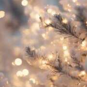 ヒメ日記 2025/12/11 20:06 投稿 ゆうか 上野ハンドメイド