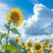 ヒメ日記 2025/08/08 12:32 投稿 ゆうか 神田ハンドメイド