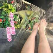 ヒメ日記 2025/06/26 21:06 投稿 すみれ 福島♂風俗の神様 郡山店
