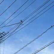 ヒメ日記 2025/08/29 06:28 投稿 らぶ チューリップ土浦店