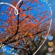 ヒメ日記 2025/11/15 17:19 投稿 まりか 素人妻御奉仕倶楽部Hip's松戸店