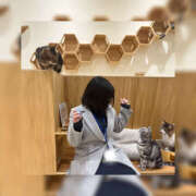 ヒメ日記 2026/01/11 17:29 投稿 まりか 素人妻御奉仕倶楽部Hip's松戸店