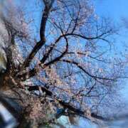 ヒメ日記 2026/03/28 23:49 投稿 まりか 素人妻御奉仕倶楽部Hip's松戸店