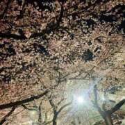 ヒメ日記 2026/04/03 23:09 投稿 まりか 素人妻御奉仕倶楽部Hip's松戸店