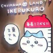 ヒメ日記 2026/09/16 11:09 投稿 まりか 素人妻御奉仕倶楽部Hip's松戸店