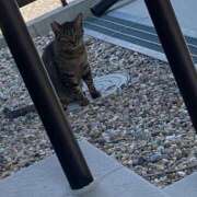 ヒメ日記 2025/08/27 07:06 投稿 あかり THE ESUTE HOUSE 柴田