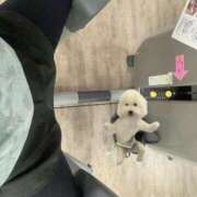 ヒメ日記 2025/11/06 00:56 投稿 あかり THE ESUTE HOUSE 柴田