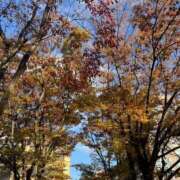 ヒメ日記 2025/11/22 15:44 投稿 ねね♡ちょっぴりMな女の子♡ Honey